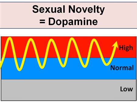 Dopamine Porn Videos 